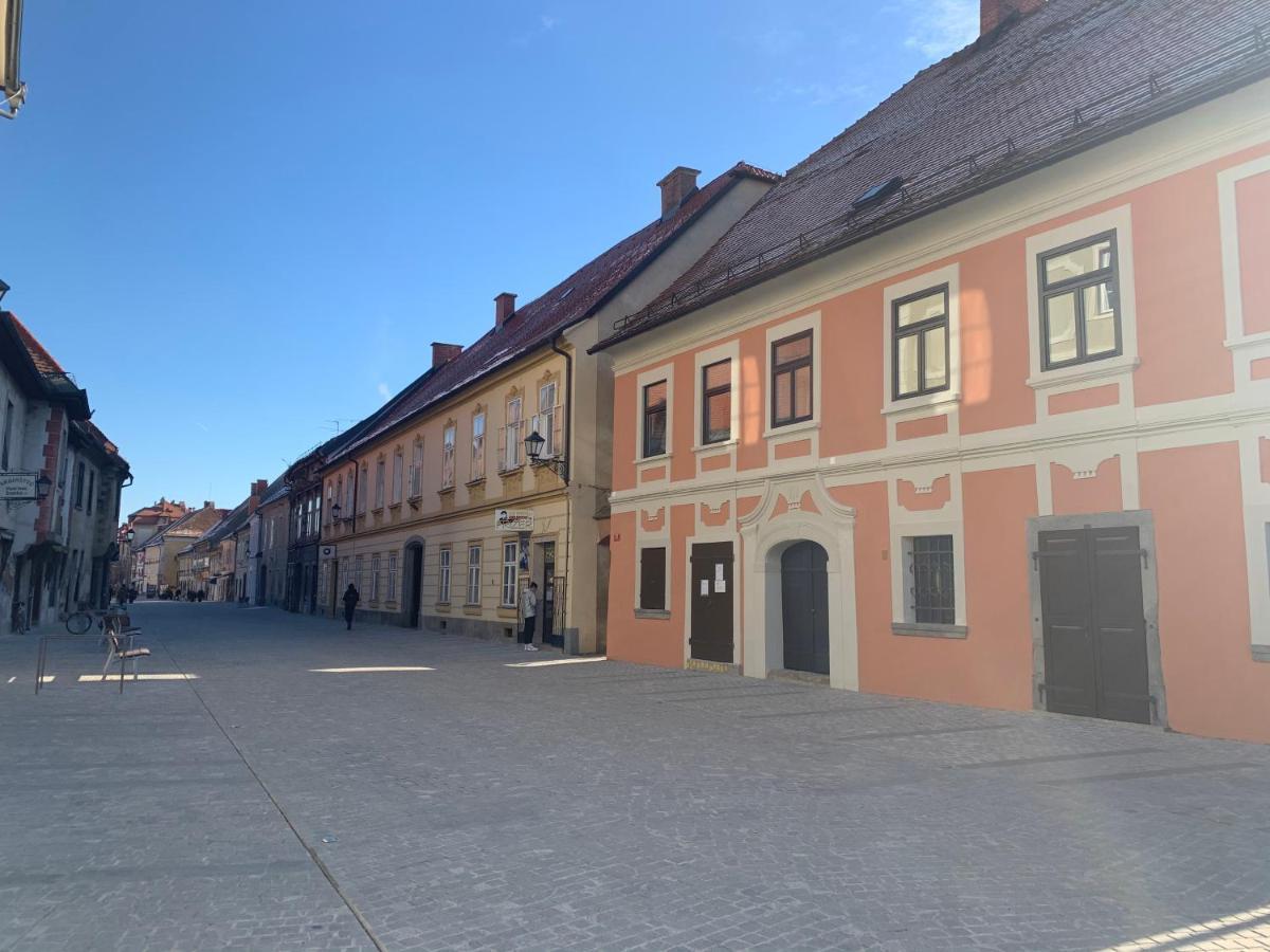 Bella Donna Lägenhet Maribor Exteriör bild