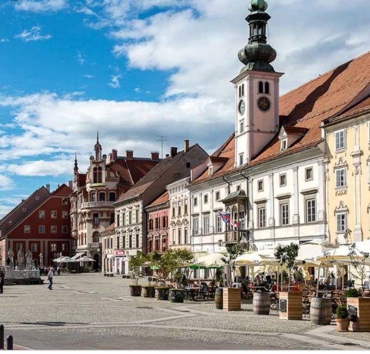 Bella Donna Lägenhet Maribor Exteriör bild